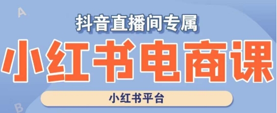 小红书电商高级运营课程，实操教学+案例分析-燎原社