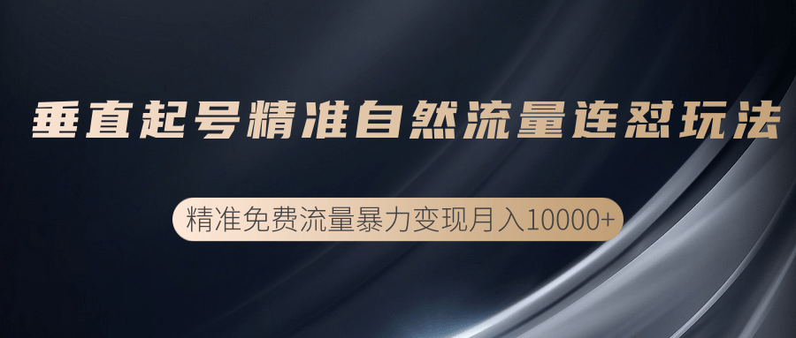 垂直起号精准自然流量连爆玩法，精准引流暴力变现月入10000+-燎原社