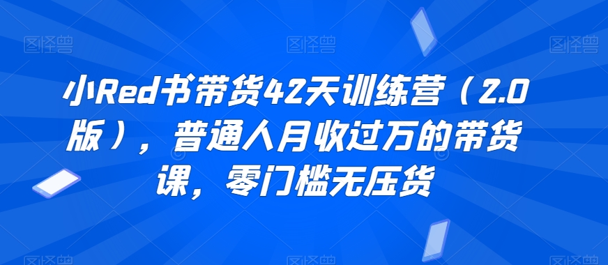 小Red书带货42天训练营（2.0版），普通人月收过万的带货课，零门槛无压货-燎原社