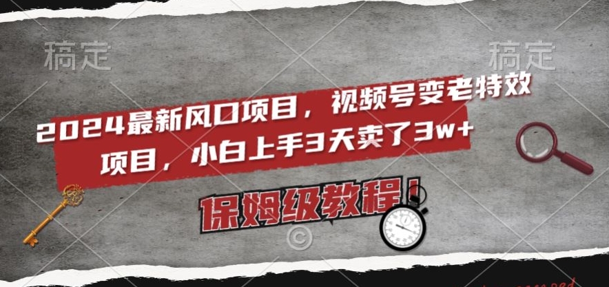 2024最新风口项目，视频号变老特效项目，电脑小白上手3天卖了3w+，保姆级教程【揭秘】-燎原社