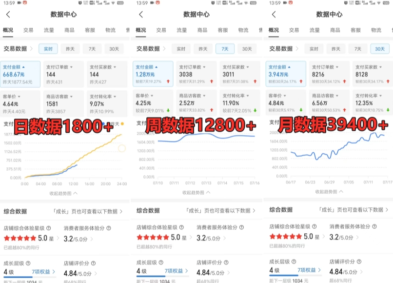 拼多多虚拟电商训练营月入30000+你也行，暴利稳定长久，副业首选-燎原社