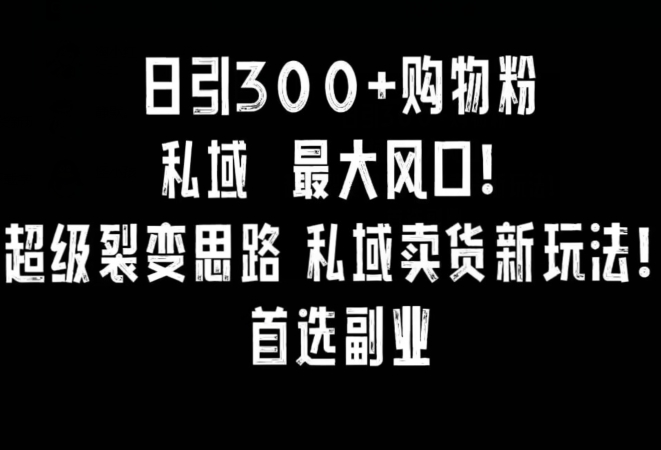 日引300+购物粉，超级裂变思路，私域卖货新玩法，小红书首选副业【揭秘】-燎原社