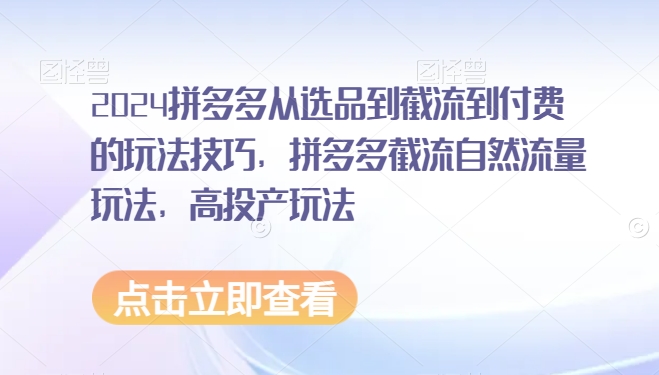 2024拼多多从选品到截流到付费的玩法技巧，拼多多截流自然流量玩法，高投产玩法-燎原社