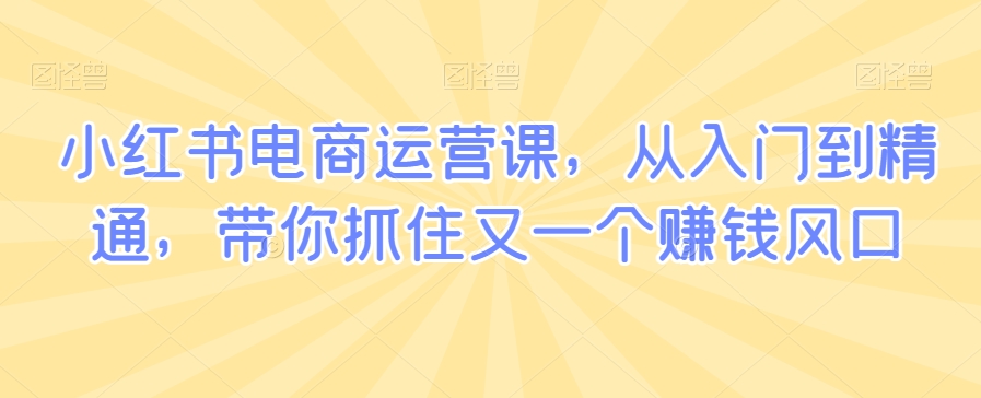 小红书电商运营课，从入门到精通，带你抓住又一个赚钱风口-燎原社