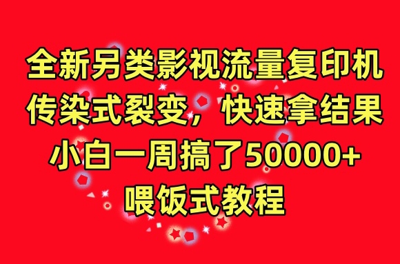 全新另类影视流量复印机，传染式裂变，快速拿结果，小白一周搞了50000+，喂饭式教程【揭秘】-燎原社