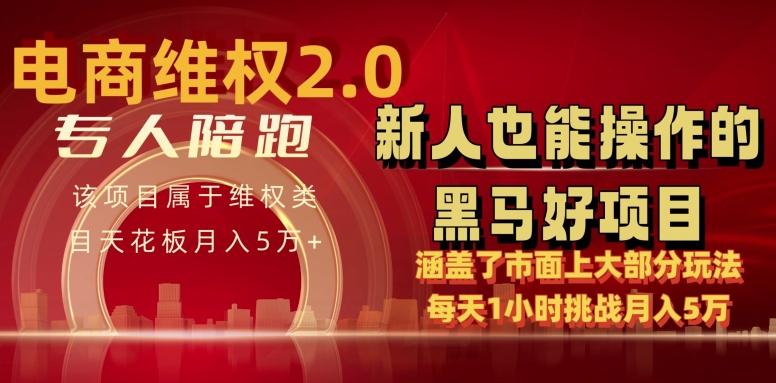 电商维权 4.0 如何做到月入 5 万+每天 1 小时新人也能快速上手【仅揭秘】-燎原社