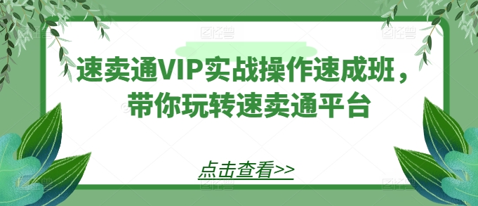 速卖通VIP实战操作速成班，带你玩转速卖通平台-燎原社