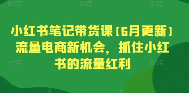 小红书笔记带货课【6月更新】流量电商新机会，抓住小红书的流量红利-燎原社