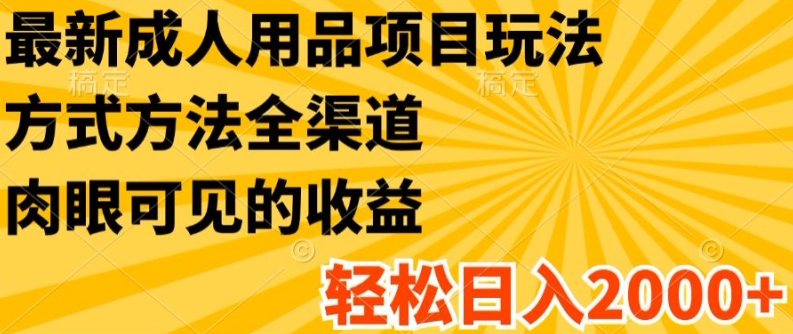 最新成人用品项目玩法，方式方法全渠道，轻松日入2K+【揭秘】-燎原社