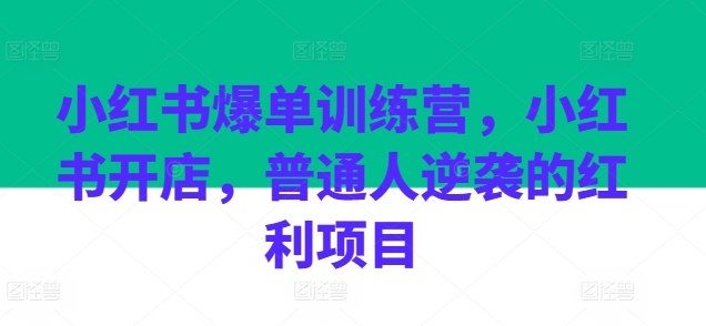 小红书爆单训练营，小红书开店，普通人逆袭的红利项目-燎原社