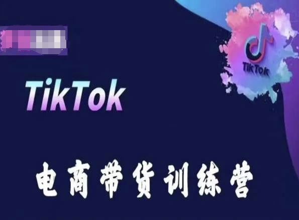 TikTok电商带货训练营，跟随时代潮流，跨境掘金-燎原社