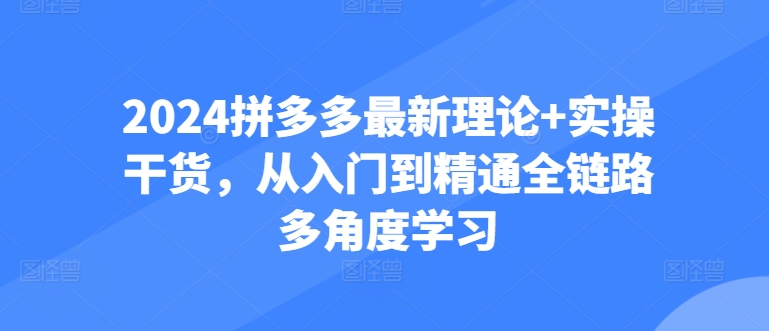 2024拼多多最新理论+实操干货，从入门到精通全链路多角度学习-燎原社