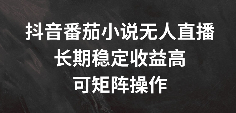 抖音番茄小说无人直播，长期稳定收益高，可矩阵操作【揭秘】-燎原社