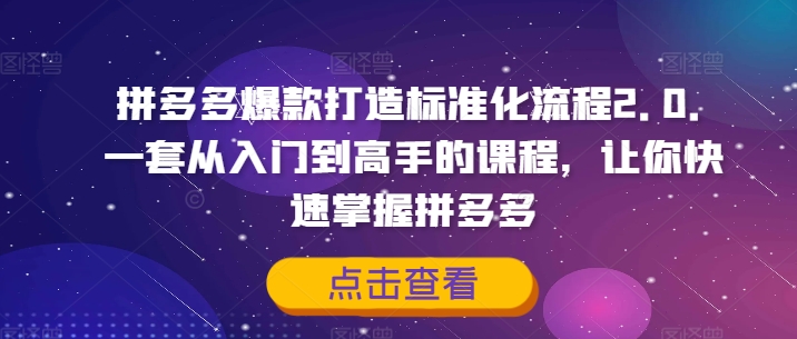 拼多多爆款打造标准化流程2.0，一套从入门到高手的课程，让你快速掌握拼多多-燎原社