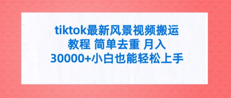 tiktok最新风景视频搬运教程 简单去重 月入3W+小白也能轻松上手【揭秘】-燎原社