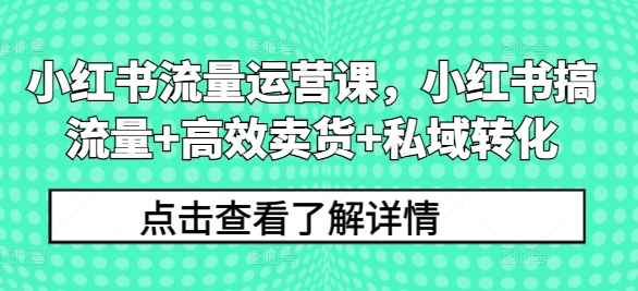 小红书流量运营课，小红书搞流量+高效卖货+私域转化-燎原社