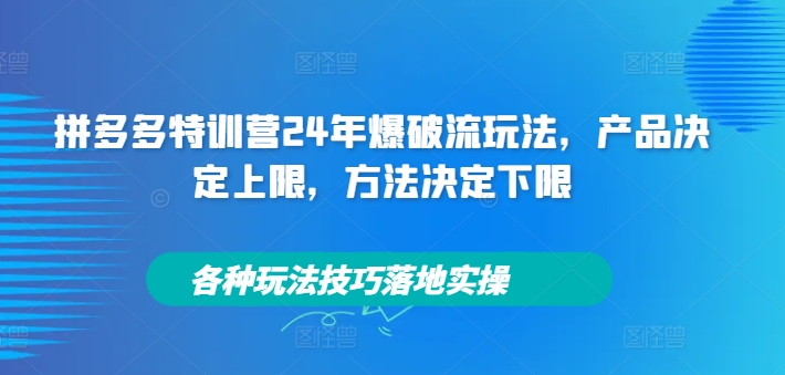 拼多多特训营24年爆破流玩法，产品决定上限，方法决定下限，各种玩法技巧落地实操-燎原社